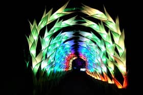 Gladioli Tunnel is a new showstopper at Christmas At Belton 2023