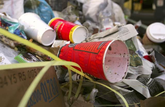 More than 700 fines for littering were handed out on one Sheffield street during 2022, a Freedom of Information request by The Star has shown.