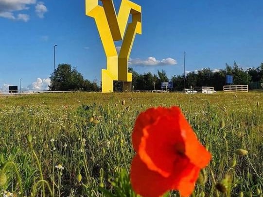 The large Y sculpture photographed by @excusemephotography