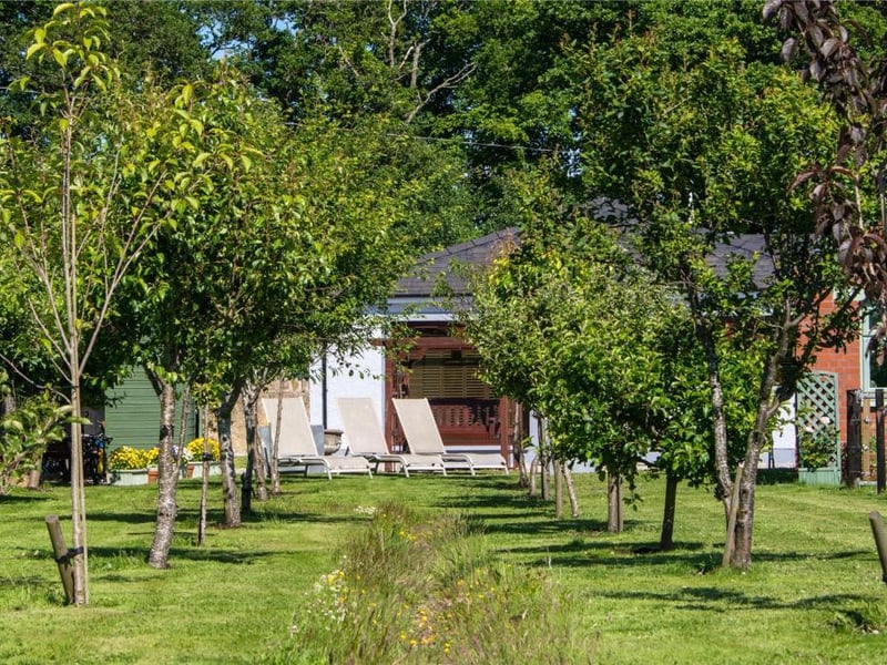 Orchard.