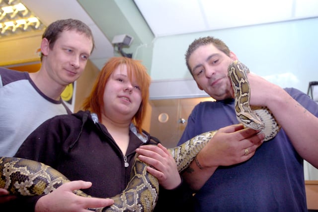 A 2008 reminder of representatives of the North East Reptile Rescue Service with Glide the Burmese python in Hartlepool.