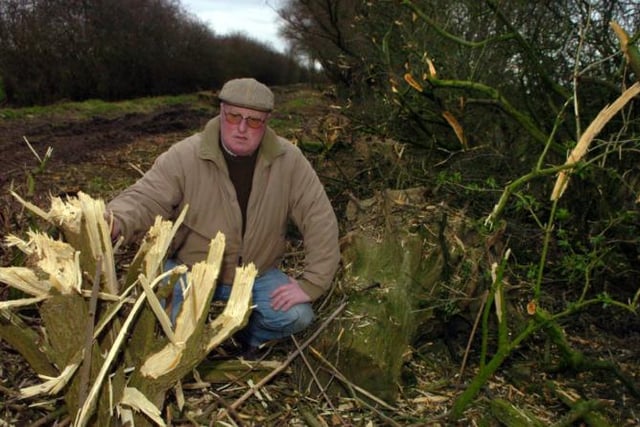 A tree had fallen back in 2006. Farmer Chris Parkinson from Fishlake investigates.