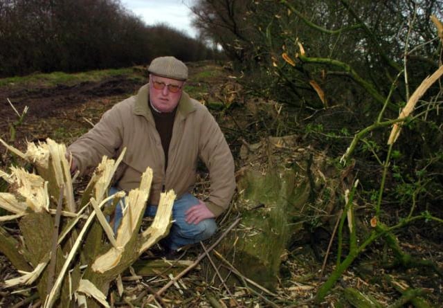 A tree had fallen back in 2006. Farmer Chris Parkinson from Fishlake investigates.