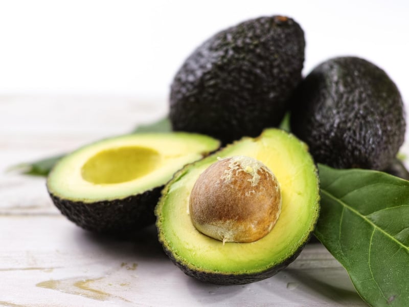 A more unknown dangerous food for dogs is avocados. The avocado plants contain a substance called Persin which is in its leaves, fruit and seed and can cause vomiting and diarrhoea in dogs. If you grow avocados at home, keep your dog away from the plants.