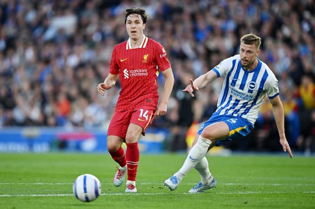 Leaving: Brighton | Age: 31 | Position: Centre-back