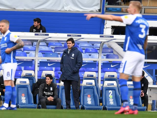 Birmingham City's Aitor Karanka won't complain about Sheffield Wednesday's penalty. (Photo by Tony Marshall/Getty Images)