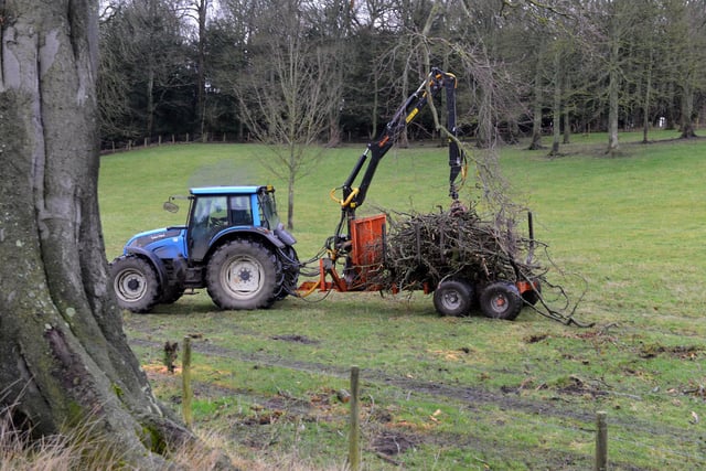 Fallen branches are collected from one of the estate's fields.