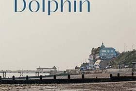 The Dolphin by Susan Clegg