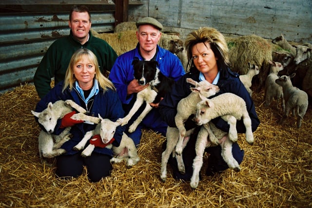 New born lambs with NEDDC dog wardens Betsy Damerell and Karren Bradbury and farmers John and Geoffrey Byard from Bramble Farm at Pilsley near Chesterfield in 2006