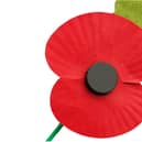 Covid-19 has curtailed Doncaster's Remembrance Sunday events.