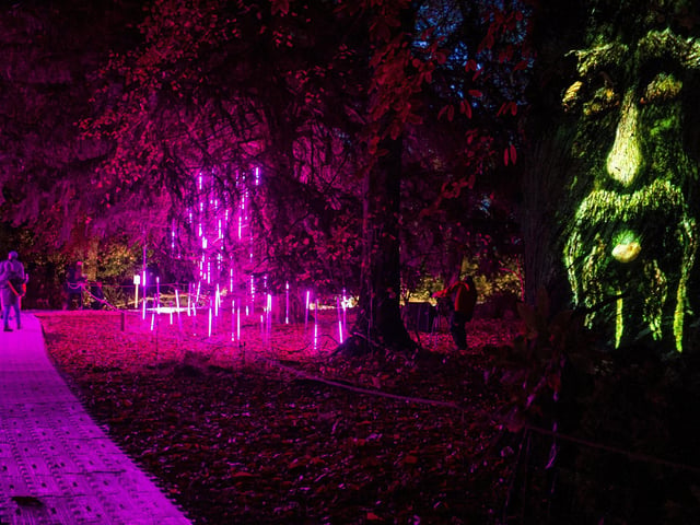 Hopetoun House grounds like you have never seen it before.
