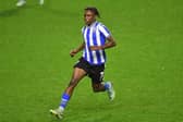 Sean Fusire signed his first professional contract at Sheffield Wednesday in December. (Harriet Massey SWFC - @harrietmasseyphoto)