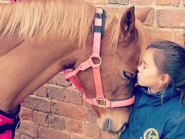 One lucky girl had the best Christmas Day ever after being gifted Ruby, a chesnut mare riding pony. After asking for six years, she finally got her dream come ture. Venisha said: "It's the biggest secret I have ever kept from her for three very long months. She is totally besotted by her best friend."