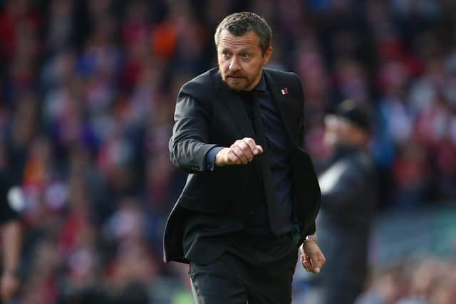 Serbian manager Slavisa Jokanovic: GEOFF CADDICK/AFP via Getty Images