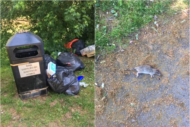 Fly-tipping and a dead rat in Woodthorpe Ponds on Richmond Road in Sheffield.