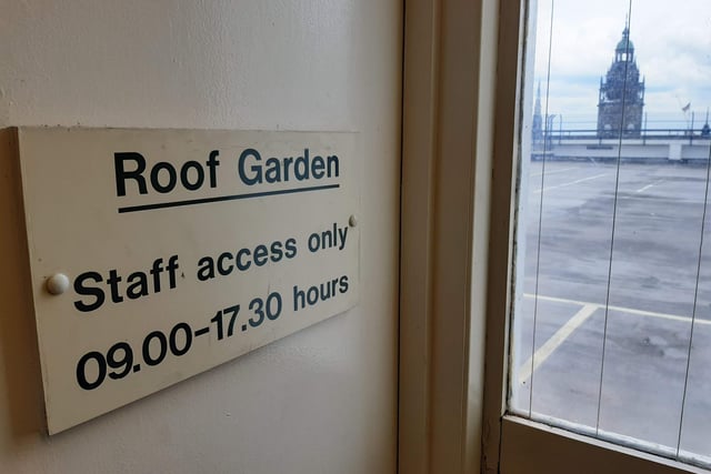 Staff had access to a roof garden with a view of Sheffield Town Hall.