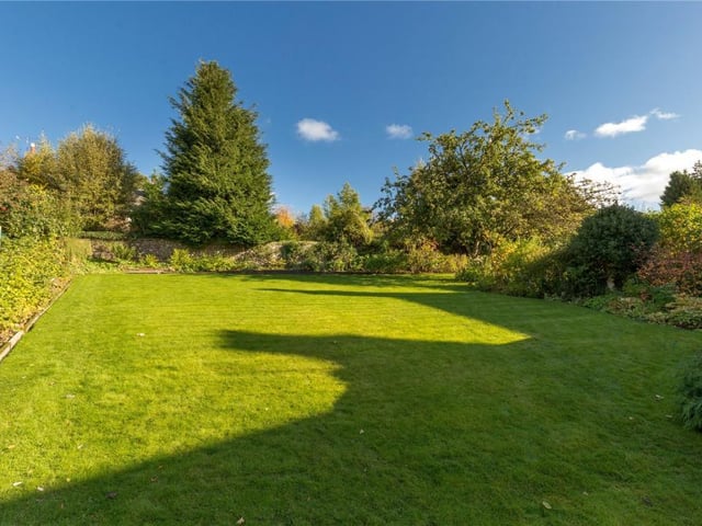 Garden.