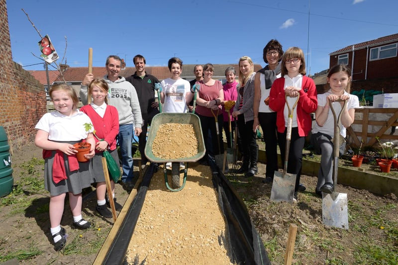 The allotment that was taken over by Cotsford Junior School. Who can you recognise in this 2016 photo?