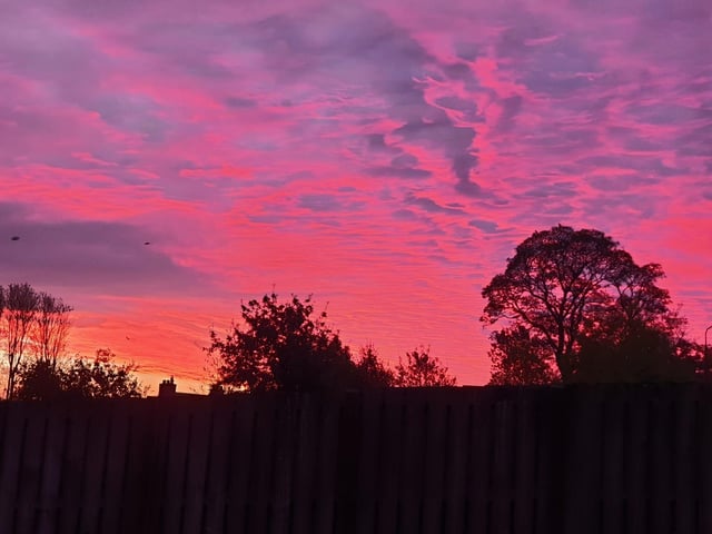 Pretty in pink, Plean pleases the eye this morning with her pinky purple views.