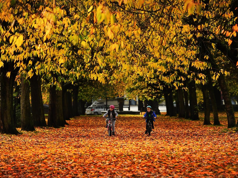 A public park located on a hill, offering views over the surrounding area. It's home to a golf course but also has accessible public footpaths. The park is accessible from Armley Ridge Road, with a car park near the golf clubhouse.