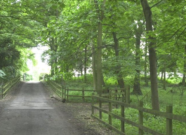 Edlington Woods in 2001.