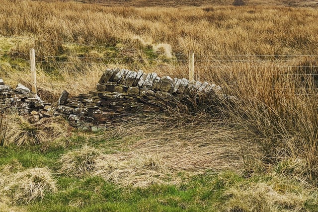 Dry-stone wall at Redmires taken by John Mounsey (@the_light_we_cast)