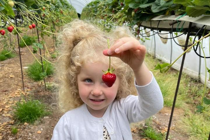 Claire Greenan shared a picture of her wee girl enjoying picking strawberries.