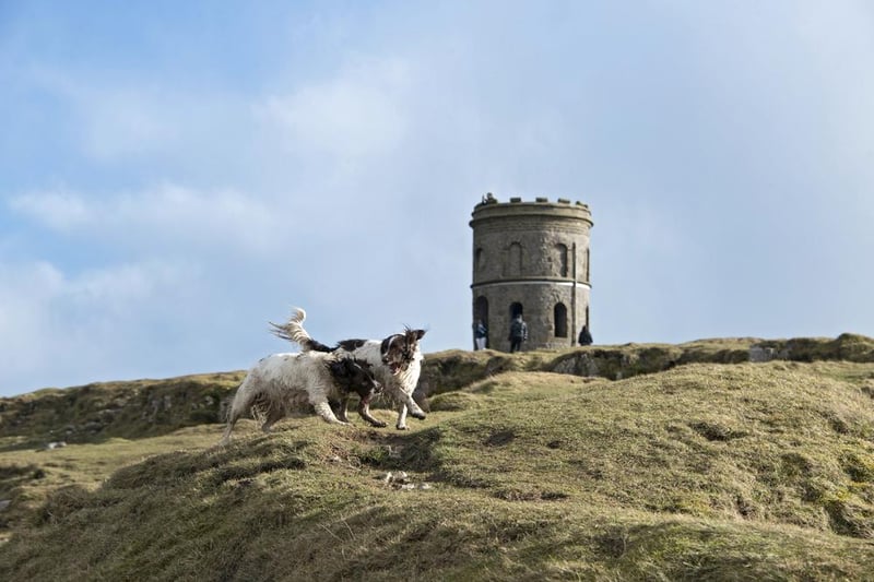 This folly is a distinctive landmark above Buxton and sits on top of a Bronze Age burial chamber. This temple was erected in the Victorian era, replacing the ruins of a tower built by a farmer called Solomon Mycock.