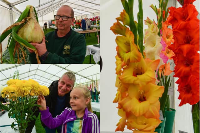 Did you pop along to Hartlepool Horticultural Show on Saturday?