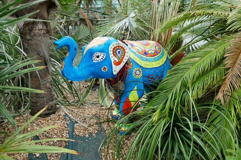 Michael Hardy's picture of an elephant from the trail that was originally on display at the Winter Garden