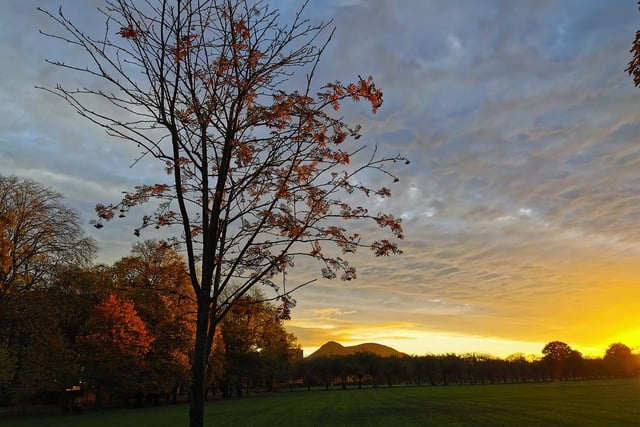 This picture of the Meadows in autumn 2020 was taken by Weeris Yimsiri.