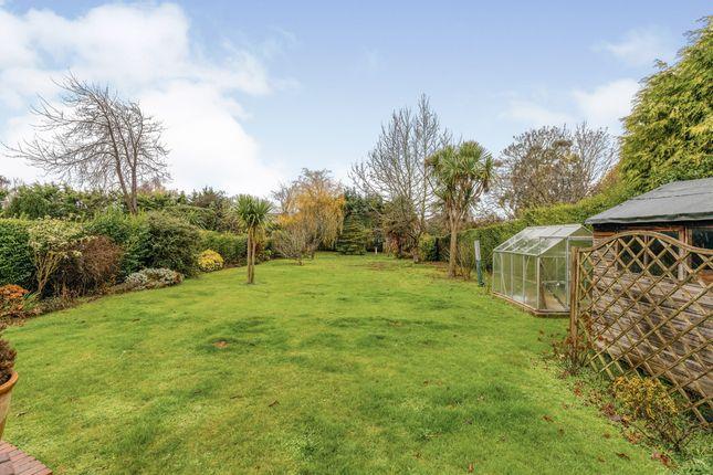This is what the back garden looks like.