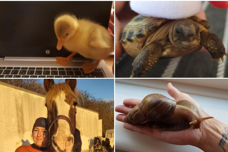 Click through this article to see photos of our readers pets.