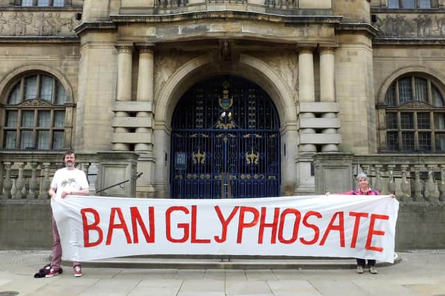 A ban Gglyphosate banner outside the town hall