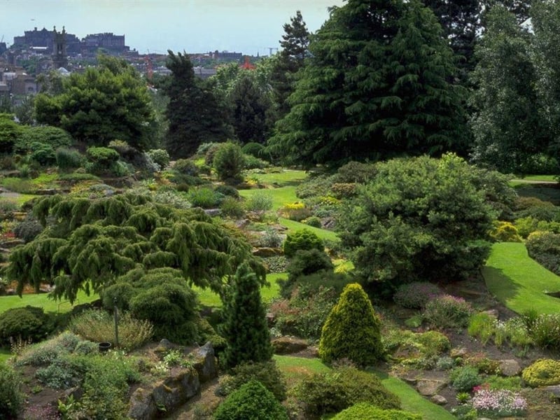 Edinburgh's botanical garden is the perfect place for a leisurely stroll on a crisp winter's day. While some of the more vibrant flowers are out of season, eucalyptus and dark evergreens thrive in the cold weather. If it gets too chilly, visitors can pop inside one of the heated Glasshouses containing tropical plants, or head over to the garden's cafe for a warm drink.