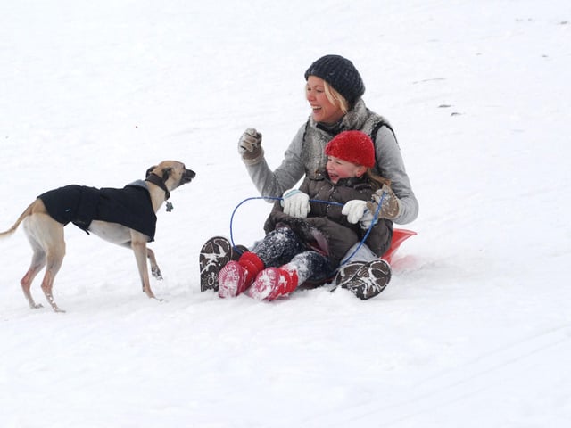 Lurcher Tink joined in the fun with Francesca Collins, 6, and Mandy Dowsing at Fisher Lane ten years ago