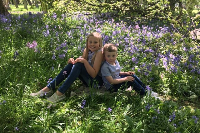 Rachel Myers posted this photo of her children in the bluebells.