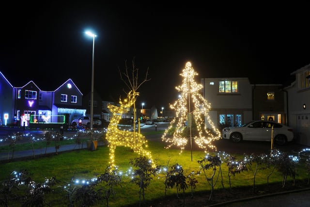 Picture Michael Gillen.  Kinnaird and The Inches Residents Association Christmas Lights Competition.