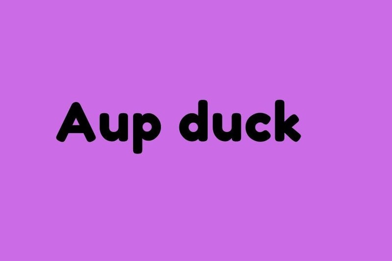 7. Aup Duck