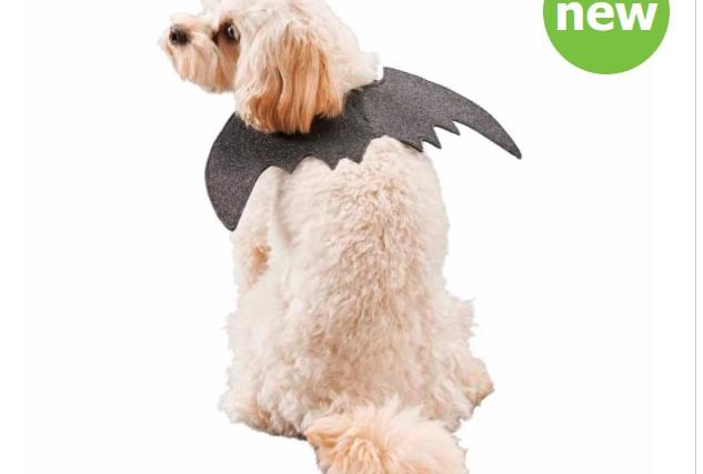This cute bat cloak from Wilko is easy to wear and features hook and eye fastenings. It comes in extra small, small and medium sizes. bit.ly/36YrtfO (Photo: Wilko)