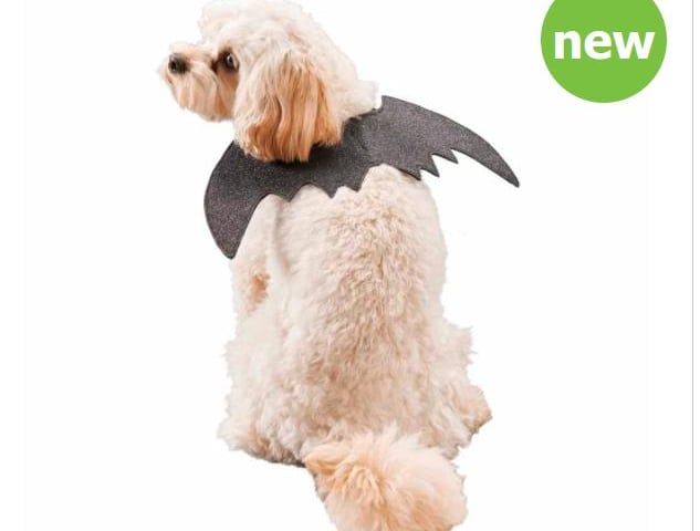 This cute bat cloak from Wilko is easy to wear and features hook and eye fastenings. It comes in extra small, small and medium sizes. bit.ly/36YrtfO (Photo: Wilko)