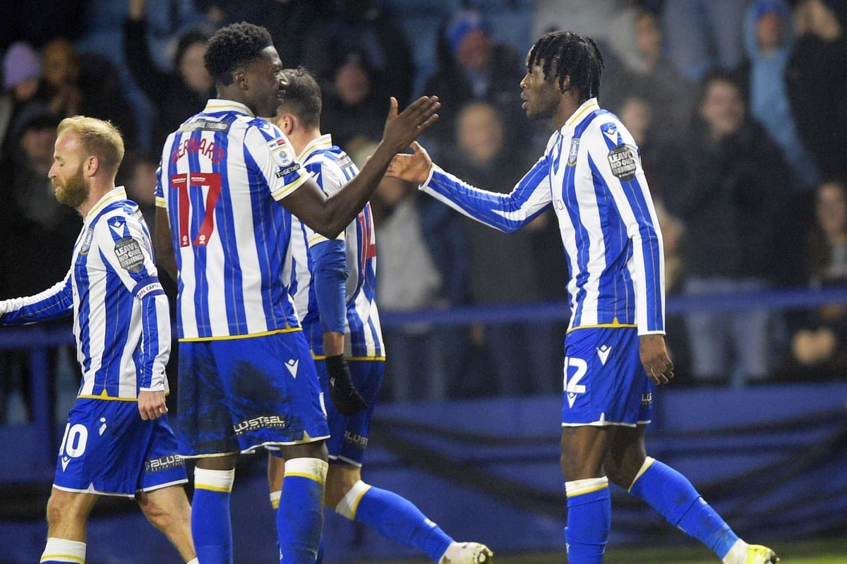 Predicted Championship table: Where Sheffield Wednesday, Huddersfield, Birmingham and rivals are likely to finish - gallery