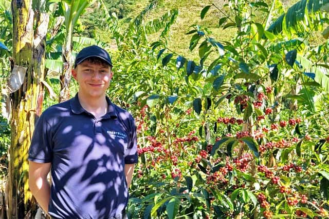 Cafeology sustainability manager Liam Worsley picking the coffee in Costa Rica earlier this year