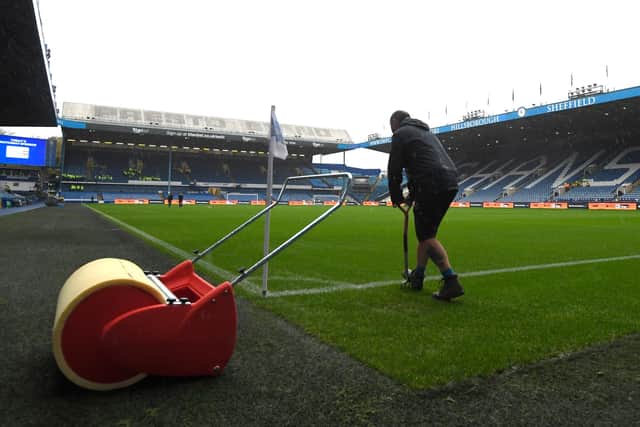 The pitch at Hillsborough will undergo end-of-season renovation work.