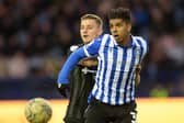 Tyreece John-Jules could still play for Sheffield Wednesday again.
