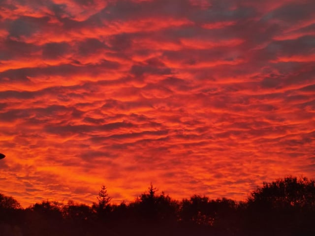 An ominous red glow fills the sky in Cumbernauld this morning with dark woodlands below, creating a backdrop most suited to a scene from Shakespeare's Scottish play.