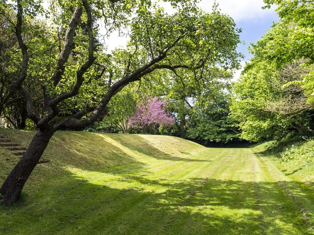It also comes with a productive orchard of pear and apple trees.