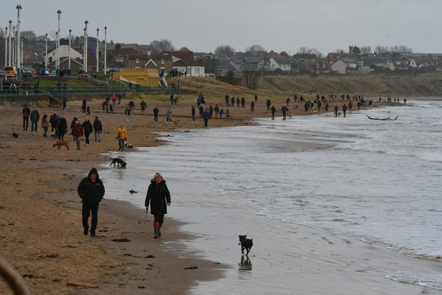 It wasn't just humans who were enjoying a walk along the sand.