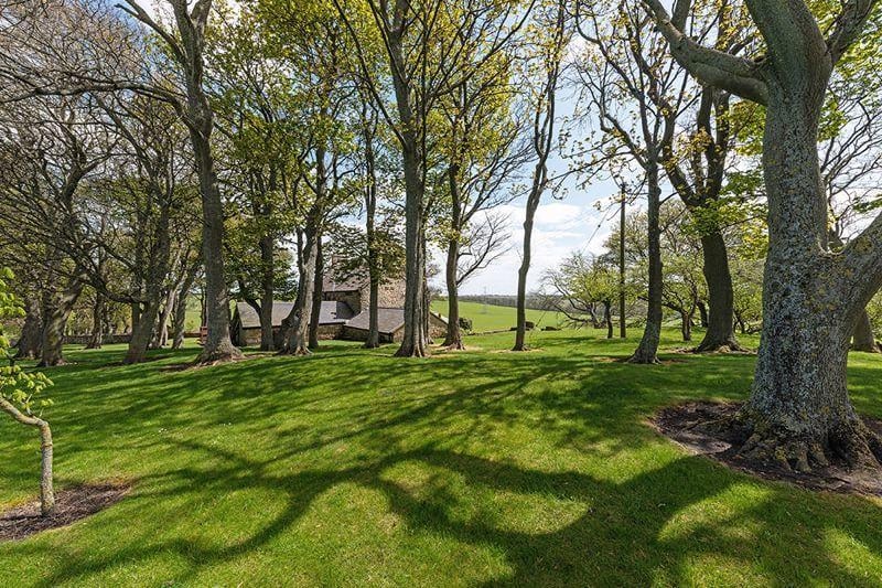 The plot features more than 12 acres of land and views across the area.