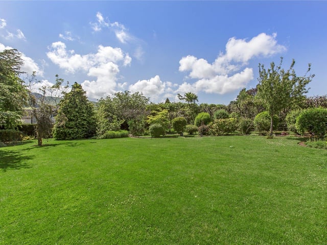 Rear garden.